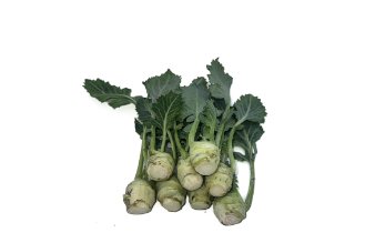 Baby Kohlrabi