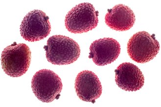 Lychee
