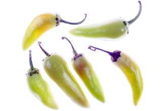 Shifka peppers