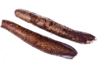 Manihot / Cassava