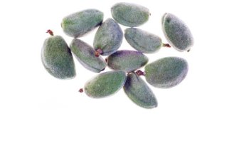 Green almonds