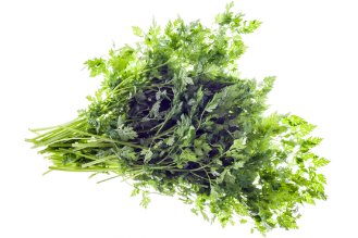 Chervil