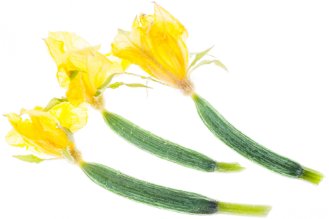 Cucumber flowers