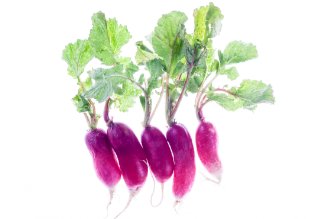 French radish
