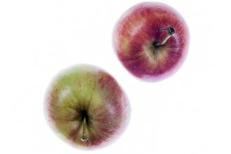 Gala apple