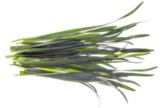 Green leaves garlic / Garleaf