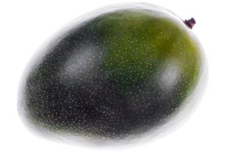 Green unripe mango