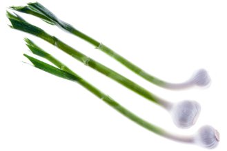 Baby green garlic