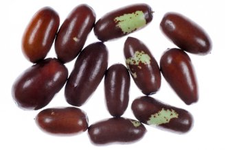 Chinese jujube