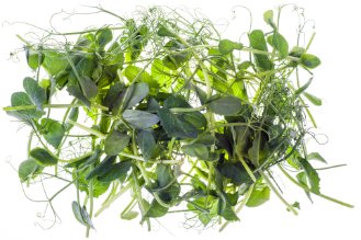 Micro pea leaves