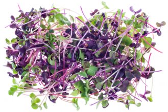 Radish sprouts