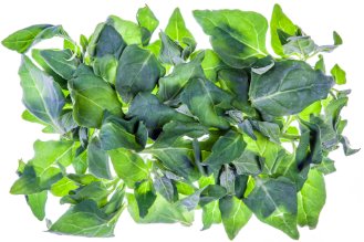 New Zealand spinach