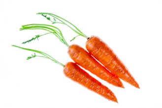 Carrot