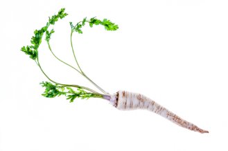 Parsley root