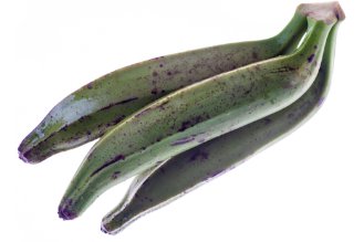 Plantain