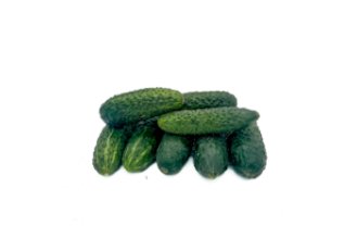 Cornichon \ Gerkin