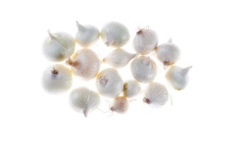 Pearl Onion