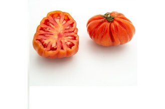 "UZI" tomato