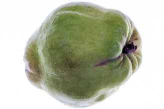 Quince