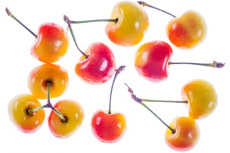 Rainier cherry 
