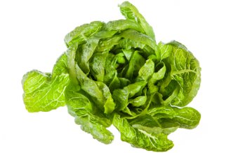 Romaine lettuce