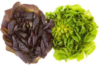 Salanova lettuce