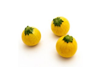 Baby yellow zucchini