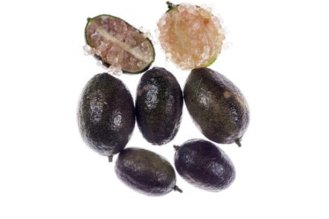 Limequat