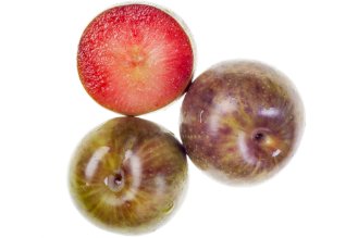 Watermelon" plum"
