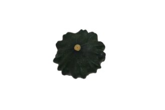 Green Zucchini U.F.O