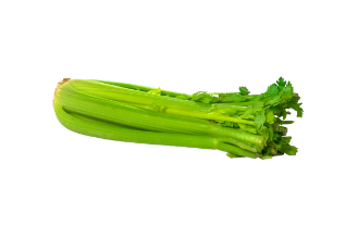 American Celery