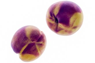 Yellow peach