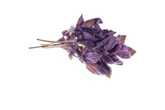 Purple basil