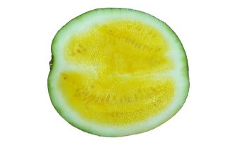 Yellow watermelon