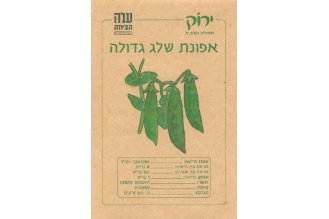 Large Snow Pea Seeds