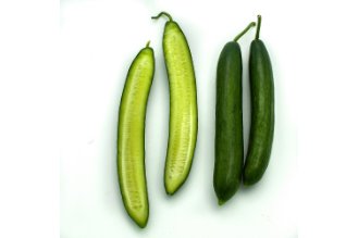 Aromato - Japanese cucumber