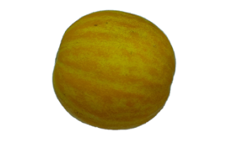 Melon Ging