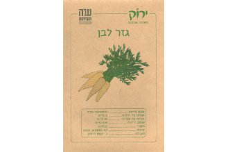 White Carrot Seeds