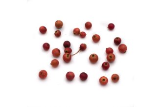 Panama berry