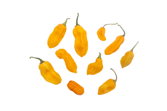 Naga Dorset Hot Pepper