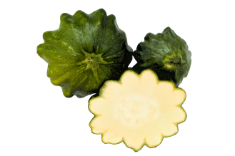 Green Zucchini U.F.O