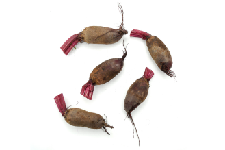Baby Cylindra Beets