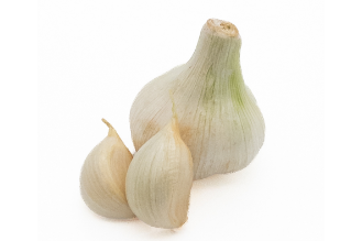 Tal Garlic