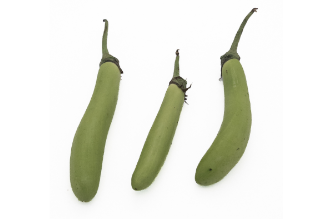 Long Green Eggplant