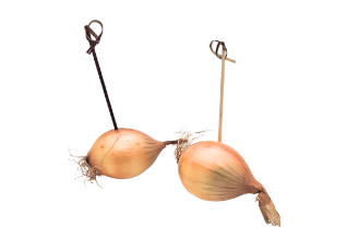Small Onions for Grilling