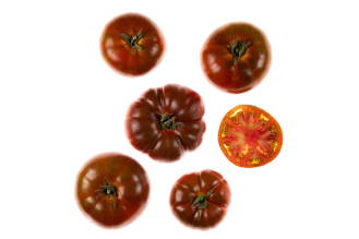 Brown/Striped Marmande