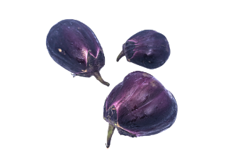 חציל מים יפני