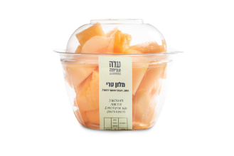 Fresh Cut Orange Melon