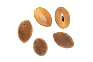 Sapodilla