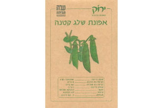 Oxheart Tomato Seeds